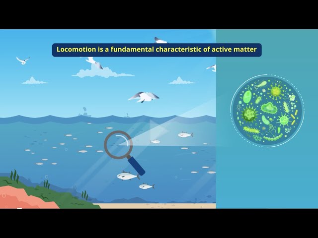 Exploring Recent Advances in the Physics of Biofluid Locomotion