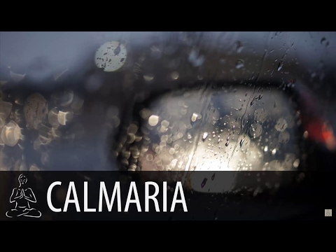 🎧 RAIN IN THE CAR ~ By Car On A Rainy Day With Thunder ~ 2 hours of sound ~ Sleep, Relax ~ ♫031