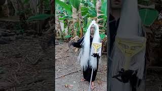 Download lagu MAK LAMPIR KENA PRANK MUSUHNYA TERBARU 2022 mp3