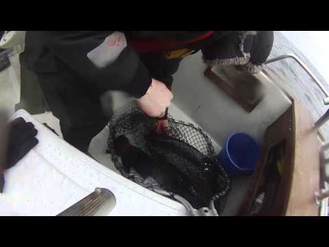 Tiura-Magnum, Patrik Näs edition