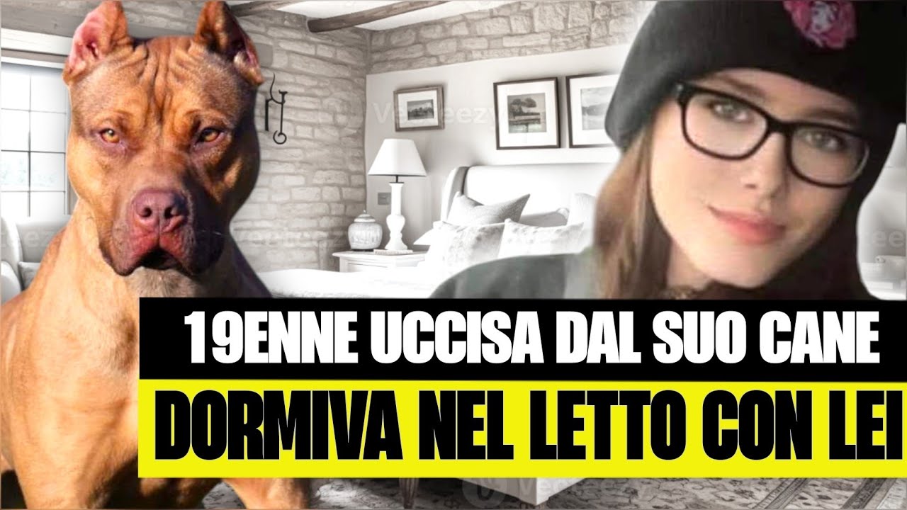 🚨🐕 TRAGEDIA IN INGHILTERRA: 19ENNE MUORE DOPO L’AGGRESSIONE DEL CANE DI FAMIGLIA
