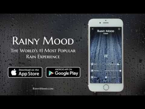 Rainy Mood • Rain Sounds Video