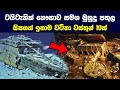 ටයිටැනික් නෞකාව සමග මුහුදු පතුල සිපග�
