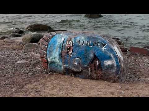 Translippers・Solar Systo Festival・14.09.24