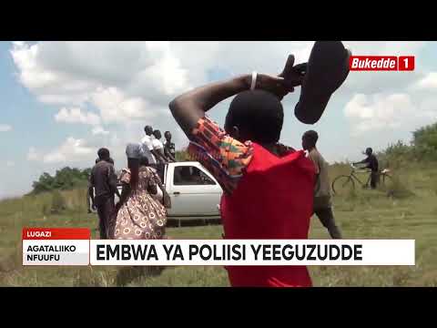 Die wunderbare Nachricht! Brutale enthaupten einen Lehrer! Ein Polizeihund fand sich