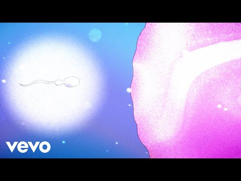 Maria Rodés - Hechizo ft. Delafé