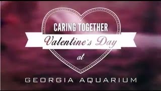 Caring Together on Valentine's Day!
