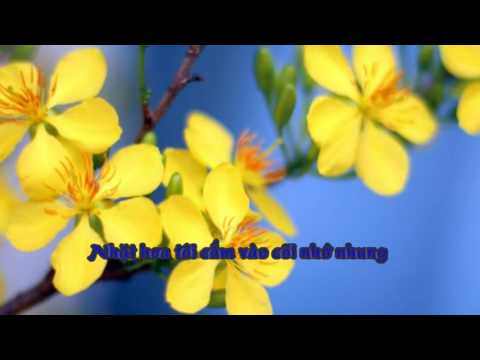 HOA XUÂN TÌNH NHỚ