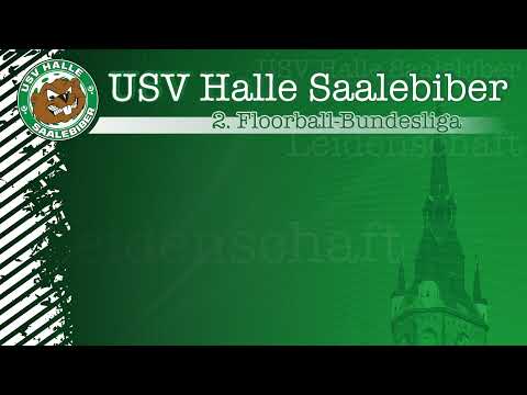 Pokalspiel USV Halle Saalebiber II - DHFK Leipzig
