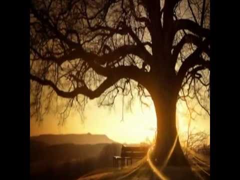 Rachel Portman    we had today.mpg