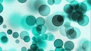 Lulu Santos - Tudo com você.