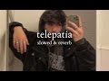Kali Uchis Telepatía Slowed Reverb Lyrics