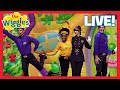 Say The Dance Do The Dance The Wiggles Live In Concert Kids Dancing Songs