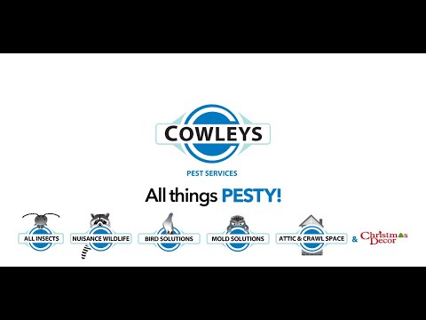 Cowleys Recruitment Video