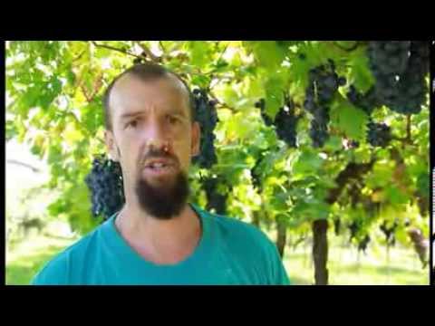 Presentazione ANTOLINI Presentation