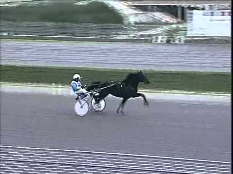 IPPODROMO DEI PINI - Prova di Riqualifica