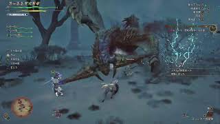 モンスターハンターワイルズ　護石集め