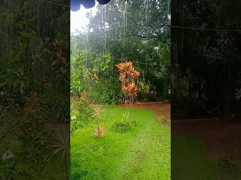 O SEU RETRATO ( @milionarioejosericooficial ).  CAPITÃO ANDRADE MINAS GERAIS 🇧🇷🇧🇷🇧🇷🇧🇷