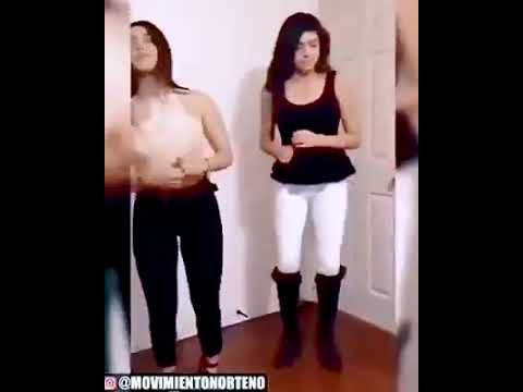 MOLINOS DE VIENTO (HUAPANGO NORTEÑO)