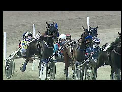 Napoli Trotto 21/11/2021 - 2ª corsa