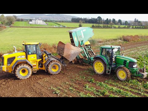 Michael & Michéal Ryan pulling beet with a John Deere 7530 and a double row Armer Salmon Harvester