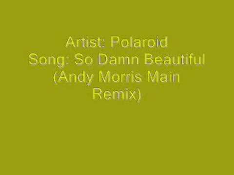 Polaroid - So Damn Beautiful (Andy Morris Main Remix)