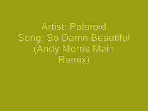 Polaroid - So Damn Beautiful (Andy Morris Main Remix)