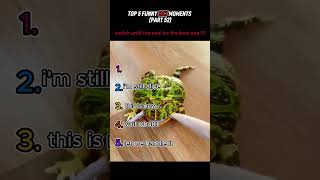 Top 5 des moments drôles avec les chats !!!