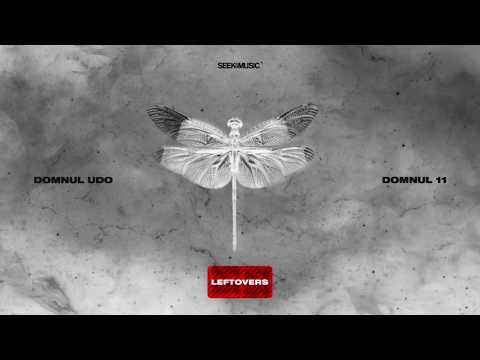 Domnul Udo - X (Audio)