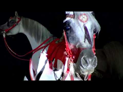 Arabian Essence WebTV Short