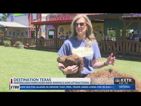 Yesterland Farm Coupon Code