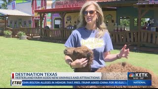DESTINATION TEXAS: YESTERLAND FARM