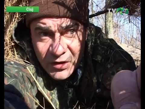 Natură şi aventură - Observaţie de mufloni în județul Timiş