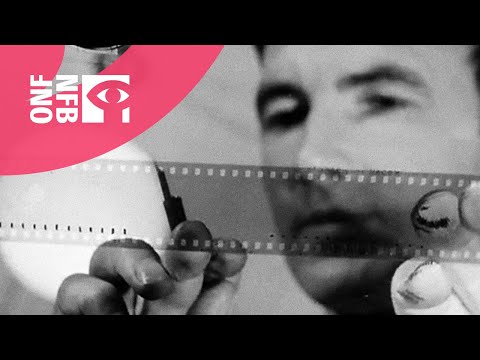 Pen Point Percussion