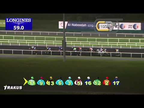 15.02.2014 Meydan (Dubai-UAE) 6.Race Longines Saint Imier - Handicap 2.000 m