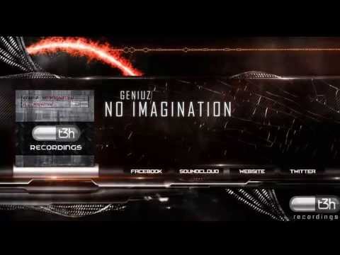 Geniuz   No imagination T3H 956