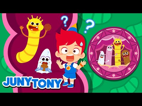 ¿Por Qué Tenemos Parásitos? | Canción de Curiosidad | Canciones Infantiles | JunyTony en español