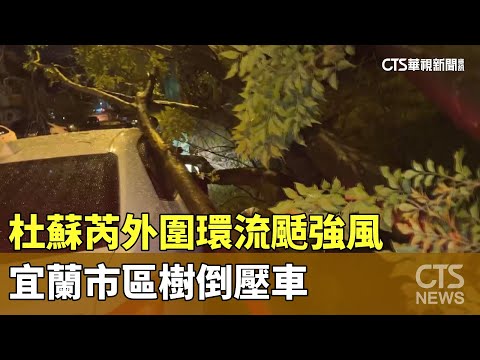 杜蘇芮外圍環流颳強風　宜蘭市區樹倒壓車