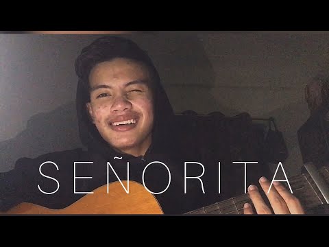 Señorita // Shawn Mendes ft Camila Cabello | Iss Arffan cover