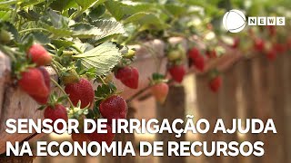 Miniatura do vídeo