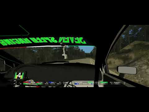 RSF NEW STAGE VILAPLANA 2007 ONBOARD I20 RALLY2