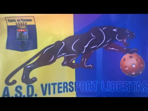 AUGURI DI BUON NATALE E FELICE ANNO NUOVO DALLA VITERSPORT