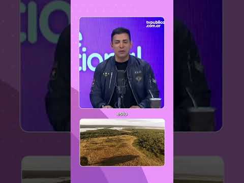 Temporada de brama del ciervo colorado en el Parque Luro - Aire Nacional