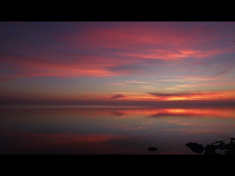 Domokos Tony - Élmény vár 🌅🤩✌️ 🌞🌊 🎶🤳🏻🌌🌠♻️