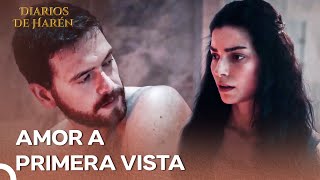 El Primer Encuentro De Nurbanu Y Selim | Diarios De Harén