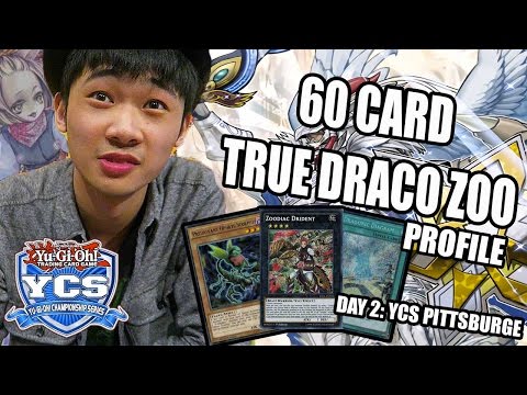 *YUGIOH* YCS PITTSBURGH: 60 CARD TRUE DRACO ZOO DECK PROFILE! FT. HANKO (FULL TOURNEY REPORT: DAY 2)