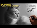 Quick Drawing CAT 2X Speed Full Time Lapse