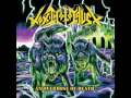 Toxic Holocaust - Feedback, Blood, And ...