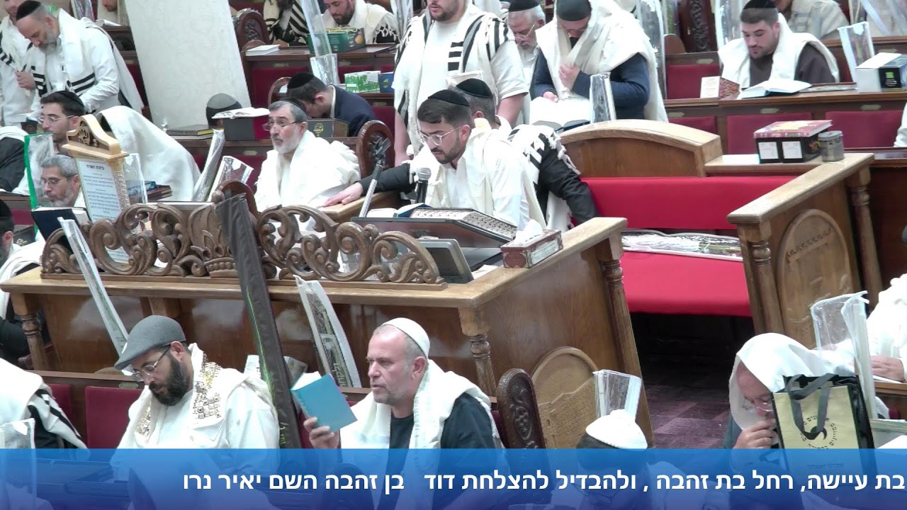 תפילת שחרית של הושענא רבה תשפ"ז הרב אייל עמרמי