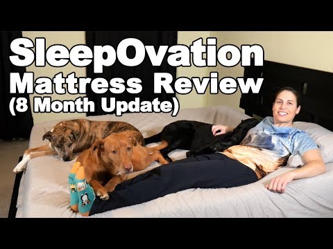 7 Best Knee Strengthening Exercises Ask Doctor Jo